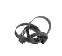 DAYCO 6PK1750 Cinghia servizi per VW LT 28-46 II Kastenwagen (2DA, 2DD, 2DH)