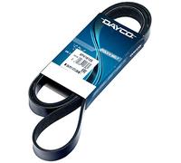DAYCO 6PK1815S Cinghia Poly-V Fit DOBLO' JTD-D19
