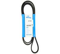 DAYCO 6PK1842 CINGHIA POLY-V COM.A-S-CZ FIAT BRAVO 1.8