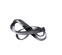 DAYCO 6PK1842 Cinghia servizi per FORD MONDEO IV (BA7) 1842,0mm