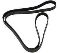 DAYCO 6PK1855 CINGHIA POLY V COM.ALT.CLIM.ALFA 156