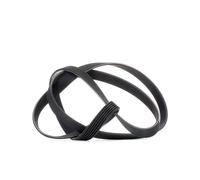 DAYCO 6PK1873 Cinghia servizi per VW Polo Schrägheck (6R1, 6C1) POLO (9N)