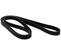 DAYCO 6PK2020 CINGHIA POLY-V COM.ALT.+CLIM.SAAB 30 V6