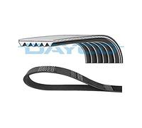 DAYCO 6PK2080S Cinghia Poly V BMW X3-320D