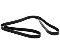 DAYCO 6PK2090 Cinghia Poly-V per BMW,FORD