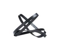 DAYCO 6PK2100 Cinghia servizi