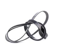 Cinghia Poly-V Dayco per Camion/Bus Mercedes Benz 512 D 612 D 812 D 6PK2120HD