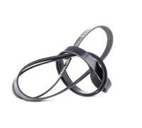 DAYCO 6PK2120 Cinghia servizi per VW LT 28-46 II Kastenwagen (2DA, 2DD, 2DH)