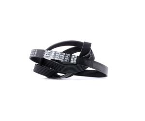 DAYCO 6PK2160 Cinghia servizi