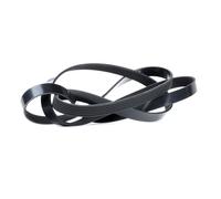 DAYCO 6PK2240 Cinghia servizi