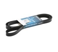 DAYCO 6PK2255 Cinghia servizi
