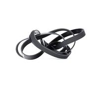 Cinghia Poly-V DAYCO 6PK2460