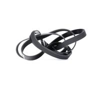 Cinghia Poly-V DAYCO 6PK2460