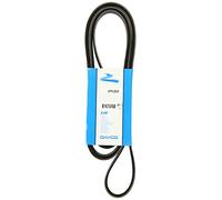 DAYCO 6PK2605 Cinghia Poly-V Jeep G.Cherokee '01