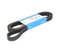 DAYCO 6PK2650 Cinghia Ply V Audi A6/A8 Quattro