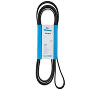 DAYCO 6PK2870 CINGHIA POLY-V VEICOLI IND.