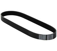 Cinghia Poly-V Dayco Ausiliaria per Seat VW Volkswagen Skoda Audi 6PK736