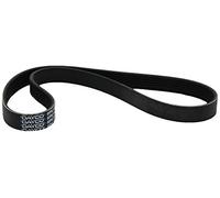 DAYCO Cinghia Poly-V 6PK850