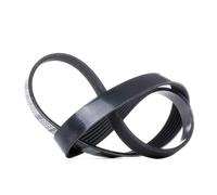 DAYCO 6PK850 Cinghia servizi