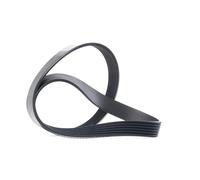 DAYCO 6PK894 Cinghia servizi