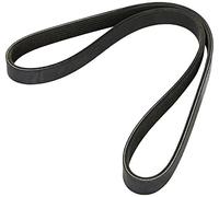 DAYCO 6PK905S Cinghia Poly-V Peugeot 207 16 VT