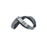 DAYCO 6PK906 Cinghia servizi