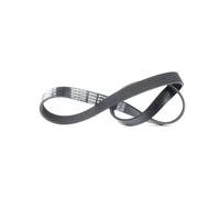 DAYCO 6PK923 Cinghia servizi per VW POLO (9N) 923,0mm