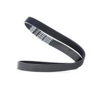 DAYCO 6PK950 Cinghia servizi per VW Polo Hatchback (6R1, 6C1) TOURAN (1T1, 1T2)