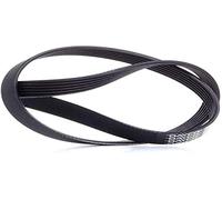 DAYCO 6PK975 CINGHIA POLY-V COM.ALTER.W GOLF III GTI