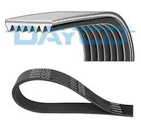 DAYCO 7PK1236HD Cinghia Scanalata per Fiat