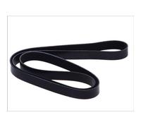 DAYCO 7PK1666 Cinghia Poly V BMW X5 4.8 V8