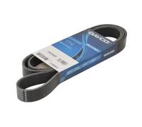DAYCO 7PK1705DT Cinghia Poly-V per NISSAN Qashqai/Qashqai +2 I (J10, NJ10)