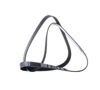 DAYCO 7PK1750 Cinghia servizi per RENAULT MASTER III Kasten (FV) 1750,0mm