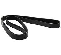 DAYCO 7PK1930 CINGHIA POLY-V TOYOTA LANDCRUISER TD-