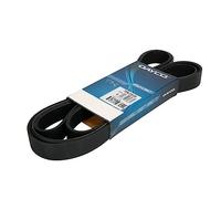 DAYCO 7PK2535 Cinghia Poly V Audi A8 Quattro VW