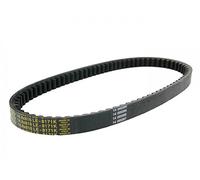 Dayco 8171 K Power Plus cinghia trapezoidale Kevlar rinforzato, L816 X b18.8