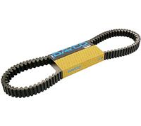 Dayco 8196 K Power Plus cinghie trapezoidali Kevlar rinforzato, l954 X b22.6