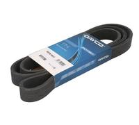 DAYCO 8DPK1833 Cinghia servizi