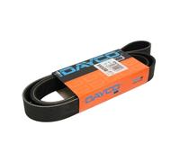DAYCO 8PK1630HD Cinghia servizi