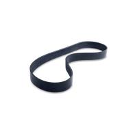 DAYCO Cinghia servizi