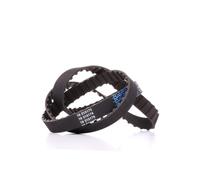 DAYCO 94017 Cinghia dentata
