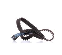 DAYCO 94532 Cinghia dentata