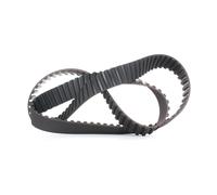 DAYCO 94774 Cinghia dentata