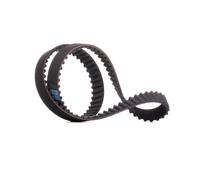 Dayco Cinghia di distribuzione 94792 dentata per Hyundai i10 (PA) e Kia Picanto (SA)