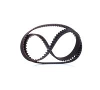 DAYCO 94808 Cinghia dentata