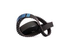 Dayco Cinghia dentata 94824 per Chevrolet, Daewoo, Opel, Vauxhall