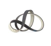 DAYCO Cinghia dentata 94885 cinghia distribuzione distribuzione motore 120 denti 30 mm