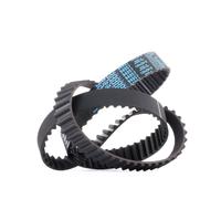 DAYCO 94957 Cinghia dentata