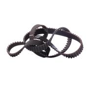 DAYCO 94958 Cinghia dentata