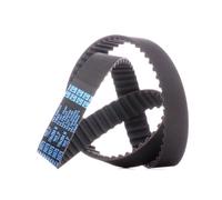 Dayco Cinghia Di Distribuzione Mm 116 X 254H 94975